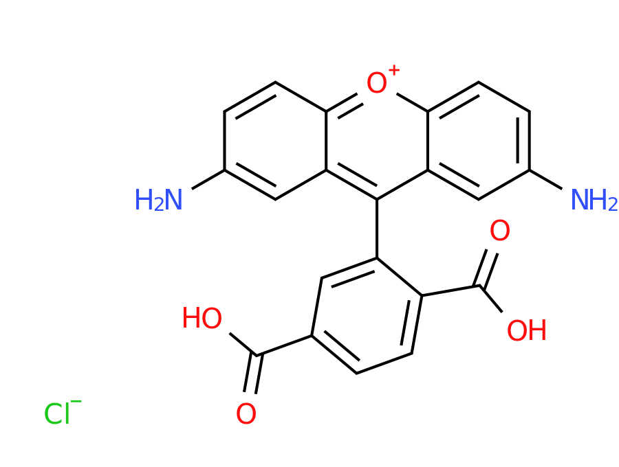 Structure Amb19930731